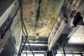 Best Mold Remediation for Healthcare Facilities  in Chenango Bridge, NY